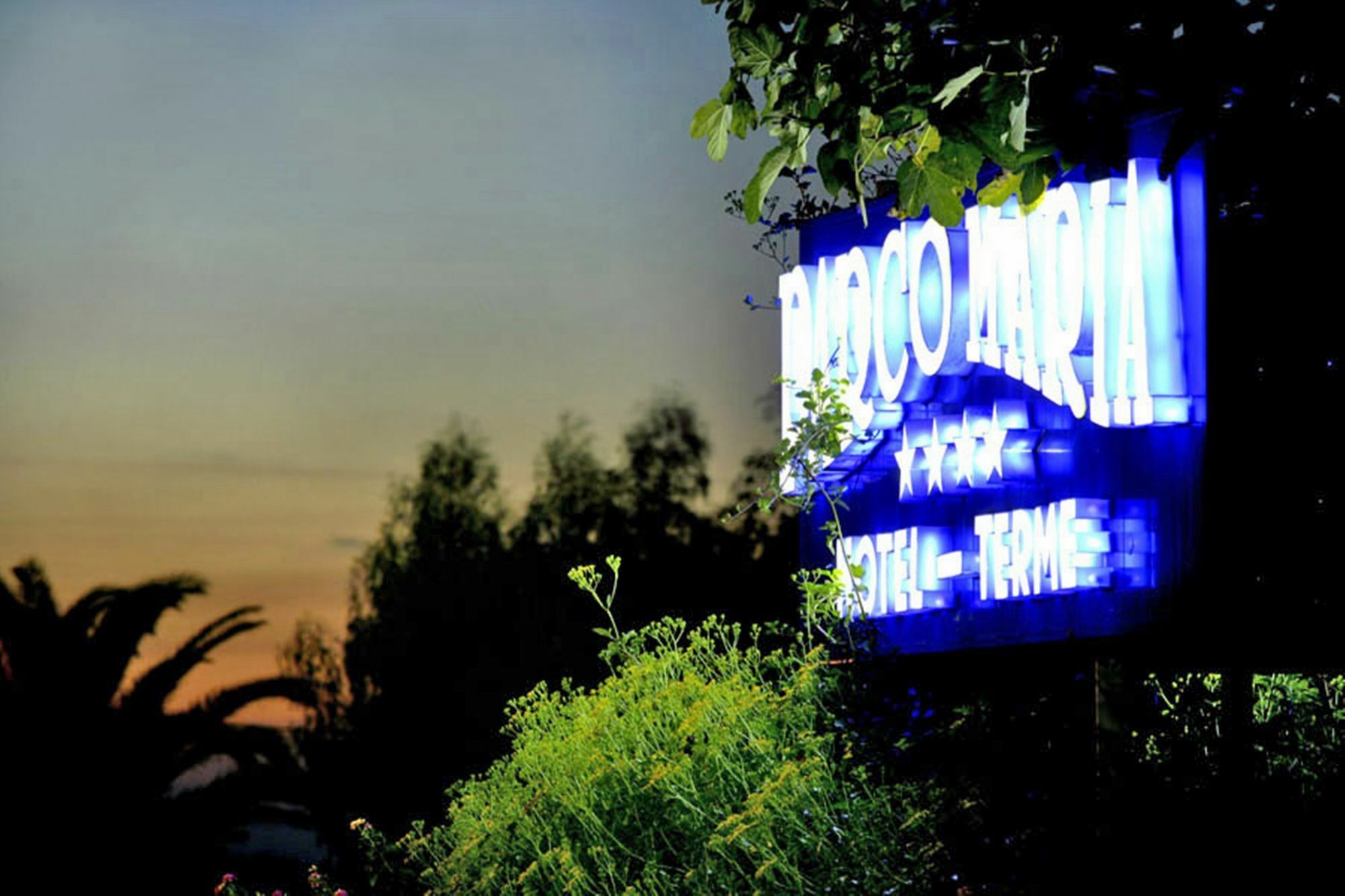 Hotel Parco Maria Terme Forio  Luaran gambar